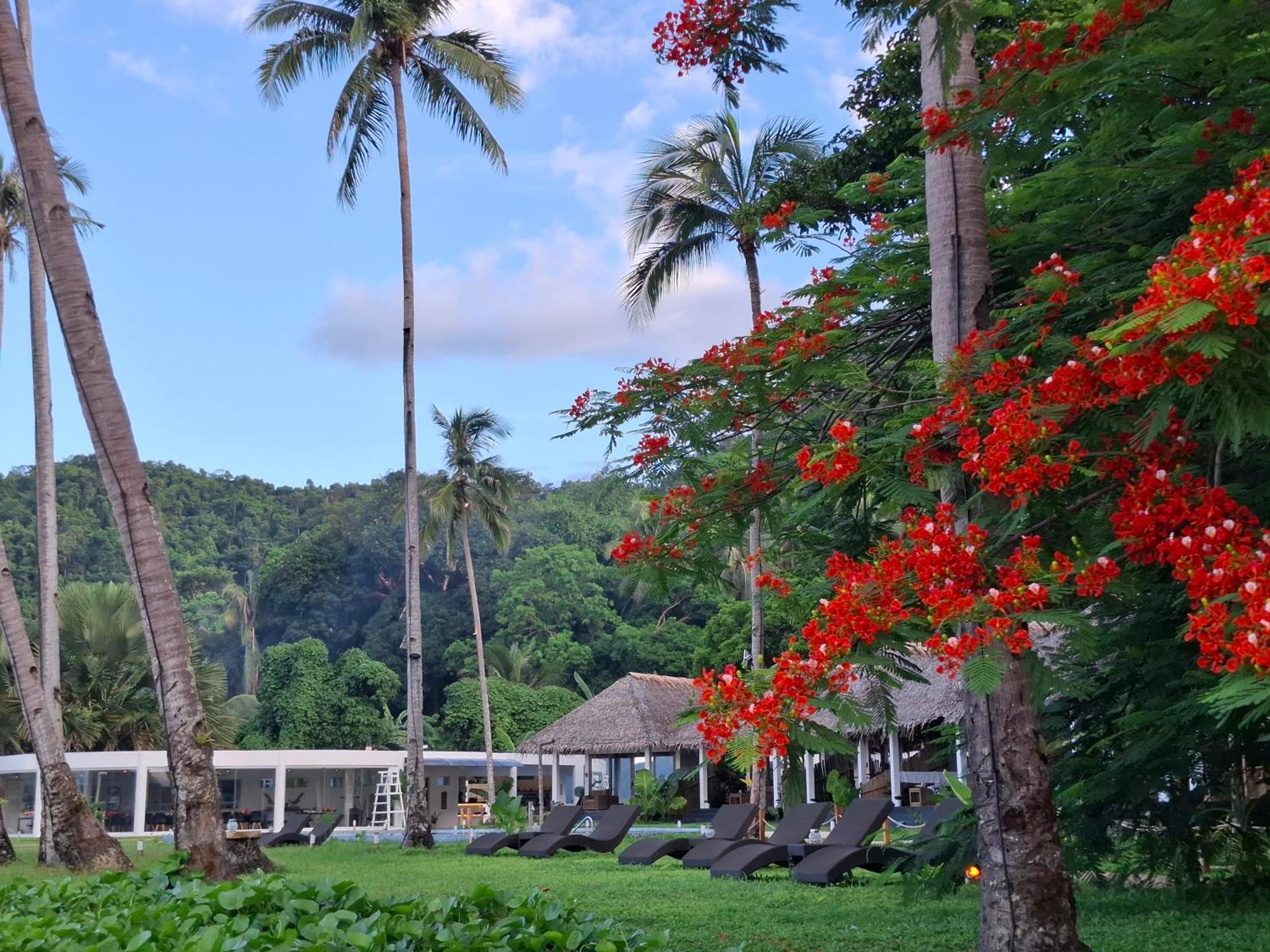 Bebeladan Beach Resort, In The Last Indigenous Corner El Nido Exteriör bild